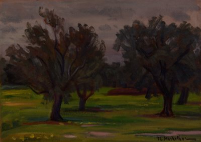 Cyprus Olive Trees with Rain — Oil painting, Fiberboard, 33.00×46.00cm — Theodoros Markellos